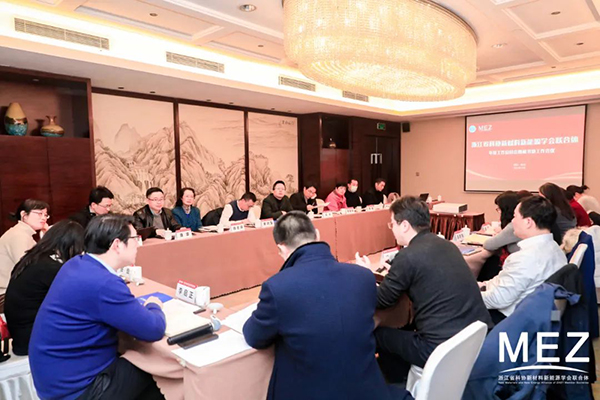 浙江省科协新材料新能源学会联合体召开年度工作总结会暨秘书处工作会议_011.jpg
